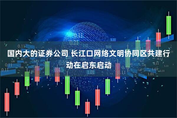 国内大的证券公司 长江口网络文明协同区共建行动在启东启动